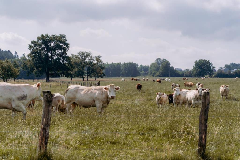 Rustig Gelegen Gite Nabij Houffalize Exterior photo
